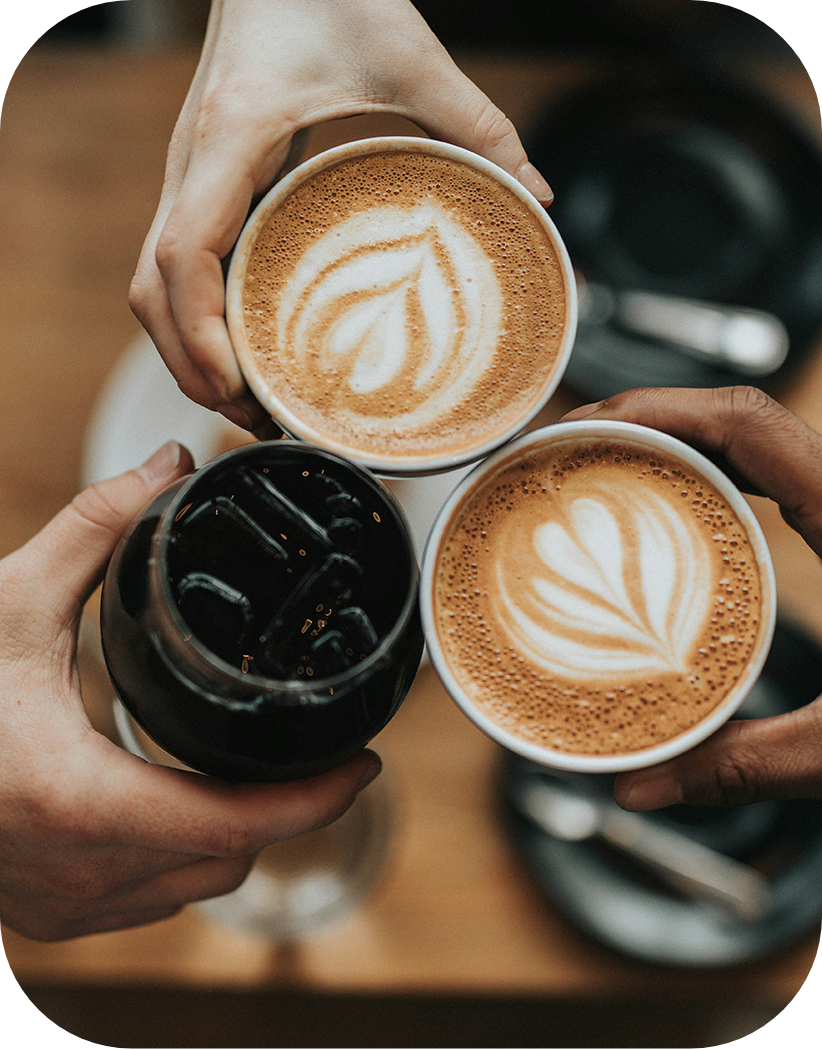 Coffee beans and brewing equipment at our Holland cafe